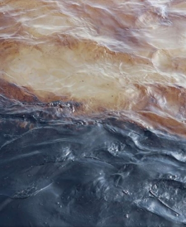 Ekran görüntüsü 2025-08-25 135055