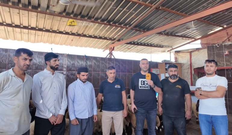 Ekran görüntüsü 2025-08-27 155637