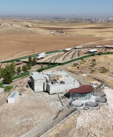 WhatsApp Image 2025-08-07 at 14.16.13