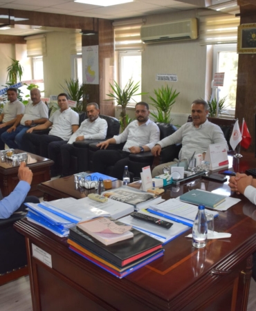 WhatsApp Image 2025-08-07 at 15.25.06