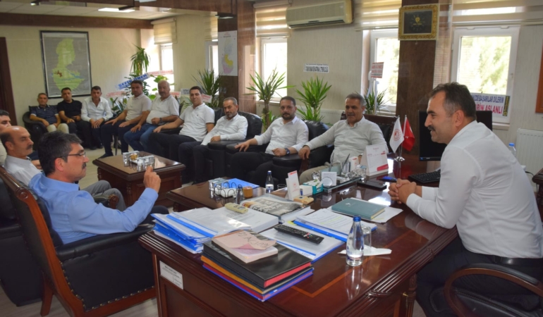 WhatsApp Image 2025-08-07 at 15.25.06