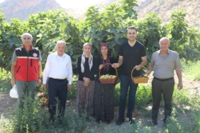 WhatsApp Image 2025-08-15 at 16.33.08