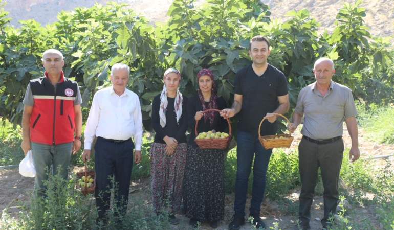 WhatsApp Image 2025-08-15 at 16.33.08