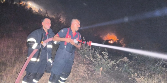 Batman Belediyesi itfaiyesi, Lice’deki orman yangınına destek verdi