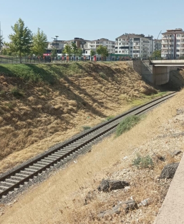 WhatsApp Image 2025-08-17 at 22.45.00