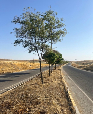 WhatsApp Image 2025-08-19 at 09.18.56 (1)