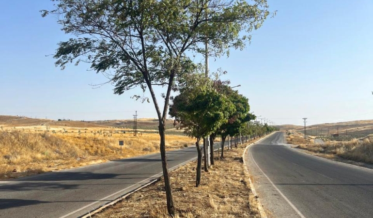 WhatsApp Image 2025-08-19 at 09.18.56 (1)