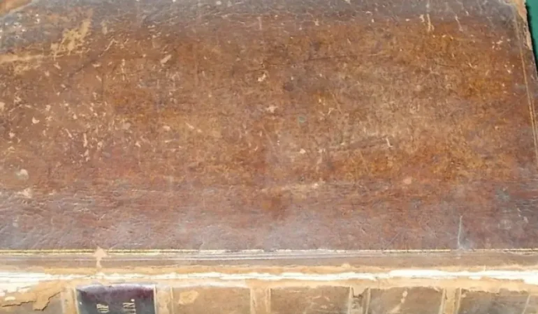 image_870x580_68b095f7da1a0