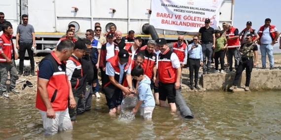 İki milyon balık yavrusu Batman baraj gölüne bırakıldı