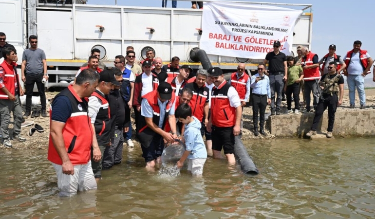 Ekran görüntüsü 2025-09-03 170152