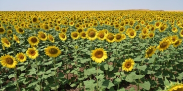 Ekran görüntüsü 2025-09-03 170512