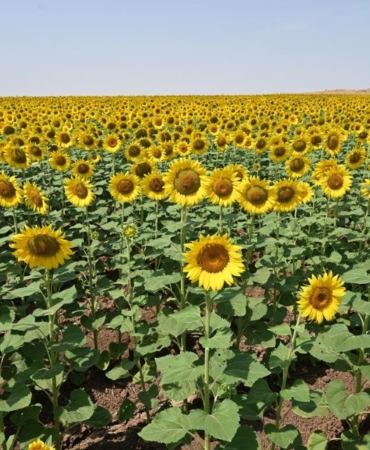 Ekran görüntüsü 2025-09-03 170512