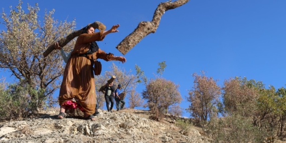 Şırnak’ta yaşanan ağaç katliamına karşı nöbet sürüyor