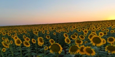 Ekran görüntüsü 2025-09-12 113615