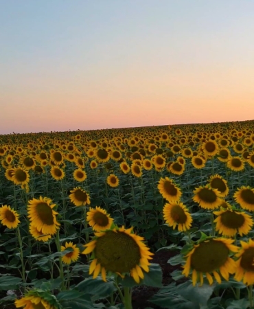 Ekran görüntüsü 2025-09-12 113615