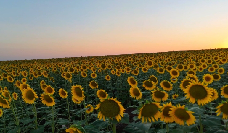 Ekran görüntüsü 2025-09-12 113615