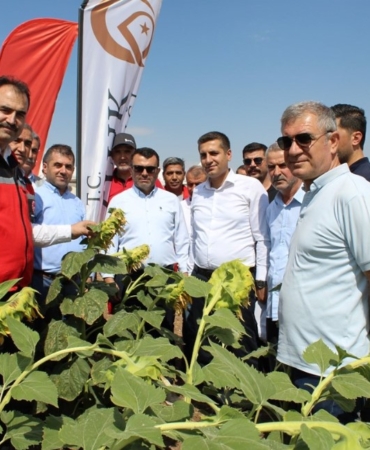 Ekran görüntüsü 2025-09-20 125802