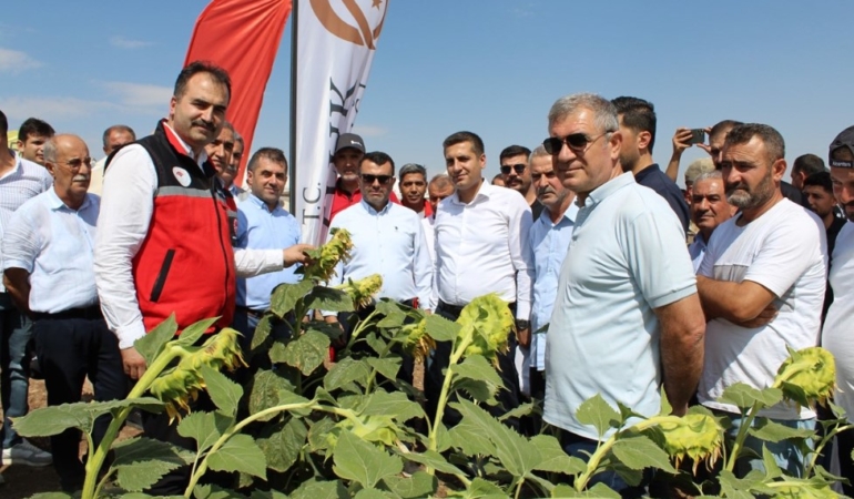 Ekran görüntüsü 2025-09-20 125802