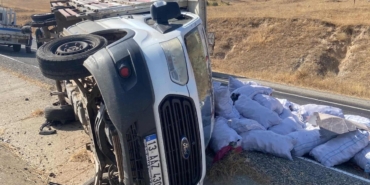 WhatsApp Image 2025-09-01 at 15.51.41