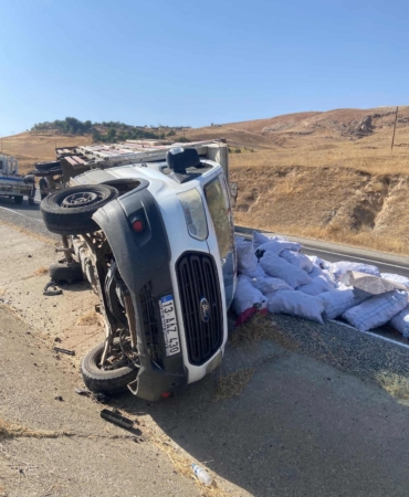 WhatsApp Image 2025-09-01 at 15.51.41