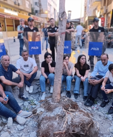 WhatsApp Image 2025-09-03 at 09.45.15