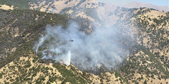 Şemdinli’de orman yangını ikinci gününde