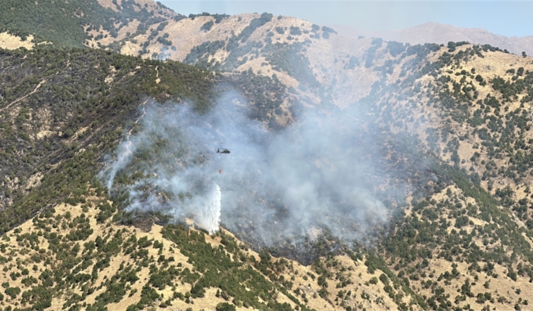 WhatsApp-Image-2025-09-09-at-10.08.26-3