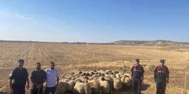 WhatsApp Image 2025-09-10 at 09.11.15