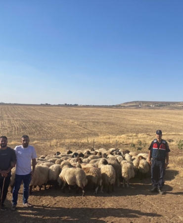 WhatsApp Image 2025-09-10 at 09.11.15