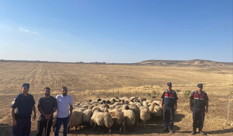 WhatsApp Image 2025-09-10 at 09.11.15