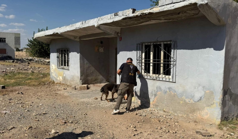 WhatsApp Image 2025-09-11 at 09.21.37