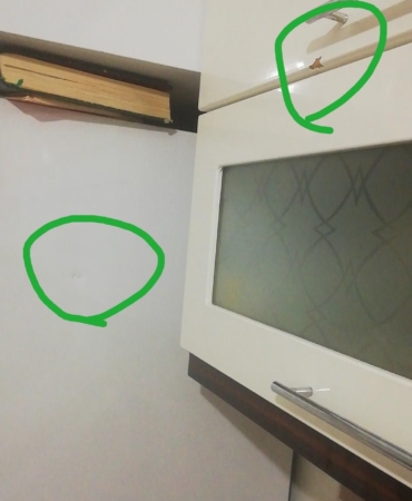 WhatsApp Image 2025-09-13 at 10.32.10