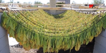 Ekran görüntüsü 2025-10-04 141151