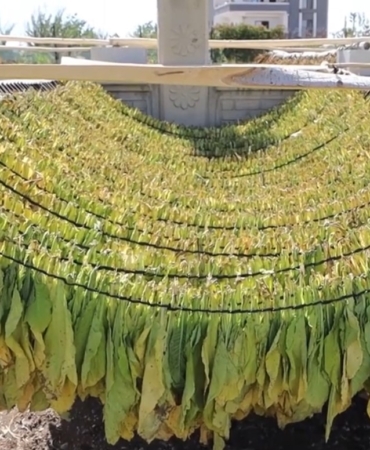 Ekran görüntüsü 2025-10-04 141151