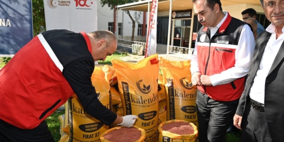 Batmanlı çiftçilere %75 hibeli mercimek tohumu desteği