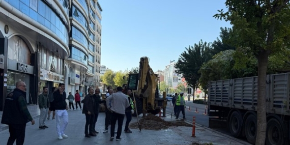 Turgut Özal Bulvarı’nda sökülen ağaçların yerine yenileri dikildi
