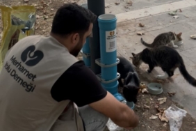 Merhamet Yolu Derneği’nden sokak hayvanlarına anlamlı dokunuş Ekran görüntüsü 2025-10-23 115258