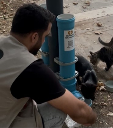 Merhamet Yolu Derneği’nden sokak hayvanlarına anlamlı dokunuş Ekran görüntüsü 2025-10-23 115258