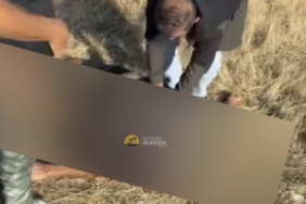 Batman - Fransız turist Kozluk’ta hayatını kaybetti Screenshot