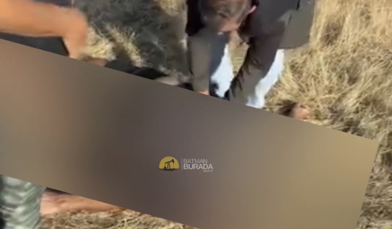 Batman - Fransız turist Kozluk’ta hayatını kaybetti Screenshot