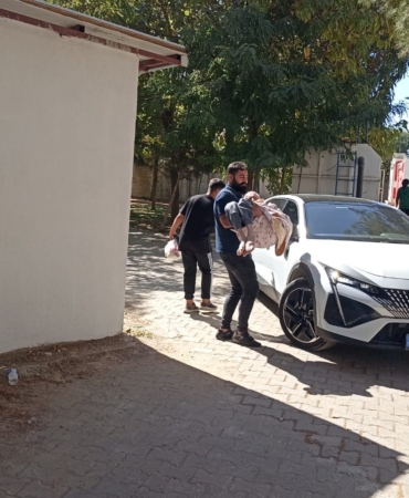 WhatsApp Image 2025-10-04 at 13.14.59