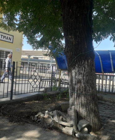 WhatsApp Image 2025-10-16 at 10.39.31 (2)