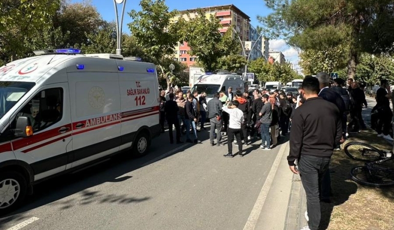 WhatsApp Image 2025-10-28 at 13.22.27