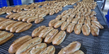 WhatsApp Image 2025-10-31 at 11.59.10