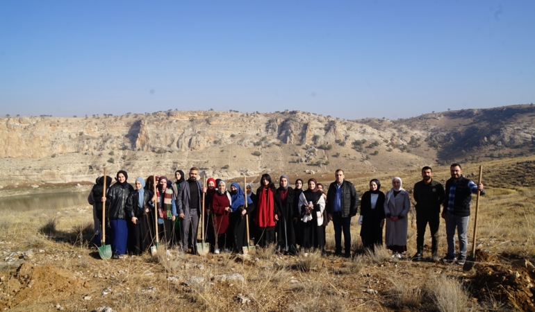 539b9628-ffe7-4813-969c-d43b6b388ea3