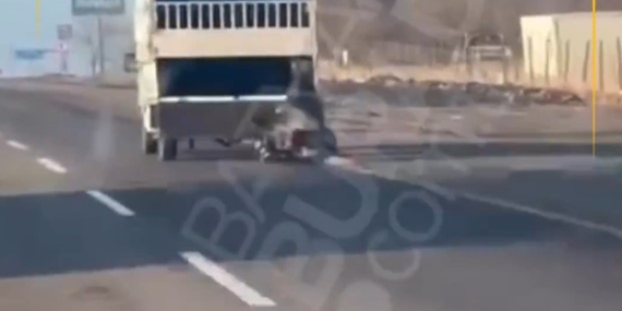 Batman’da atın sürüklenmesi tepki çekti: Adli süreç başladı