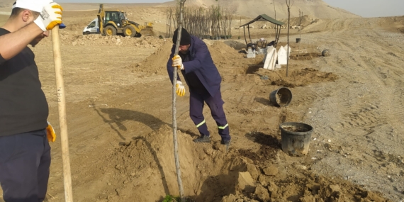 Batman Belediyesi Yeni Kent Mezarlığında Ağaç Dikimi Gerçekleştirdi