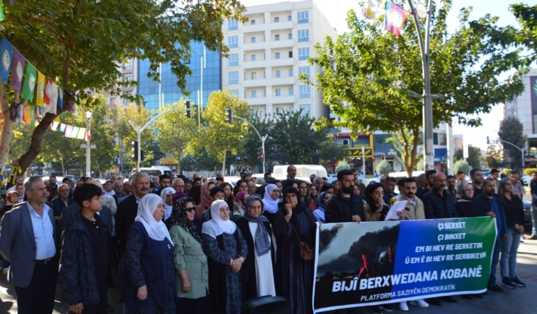 WhatsApp Image 2025-11-01 at 15.08.33