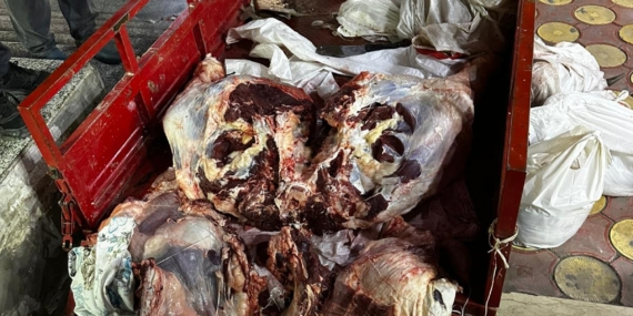 Batman’da kaçak et kesimiyle mücadele