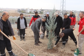 WhatsApp Image 2025-11-13 at 11.51.06 (2)